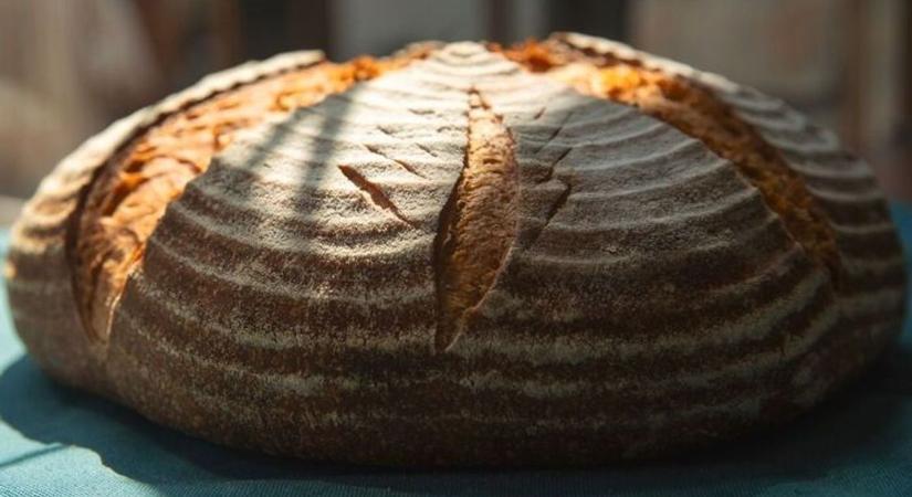 A kenyér penészes, és még igazán reklamálni sincs kinél