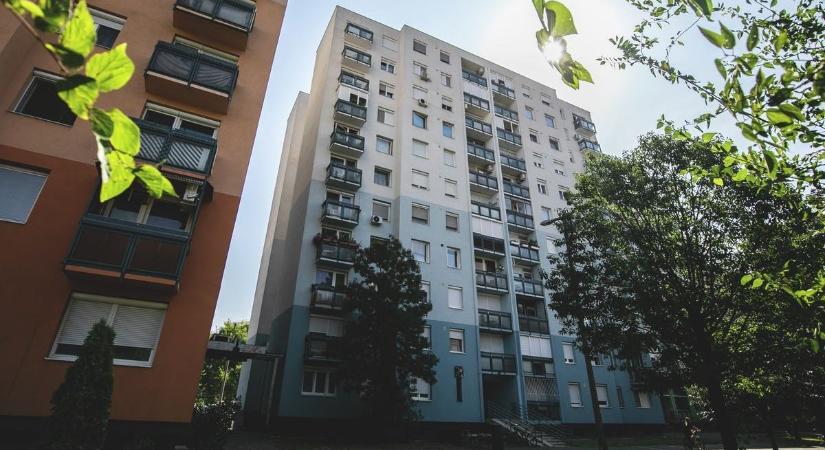 Íme, a legrosszabb debreceni albérletek: a fejed és a hasad is fogod ezektől a borzasztó sztoriktól!