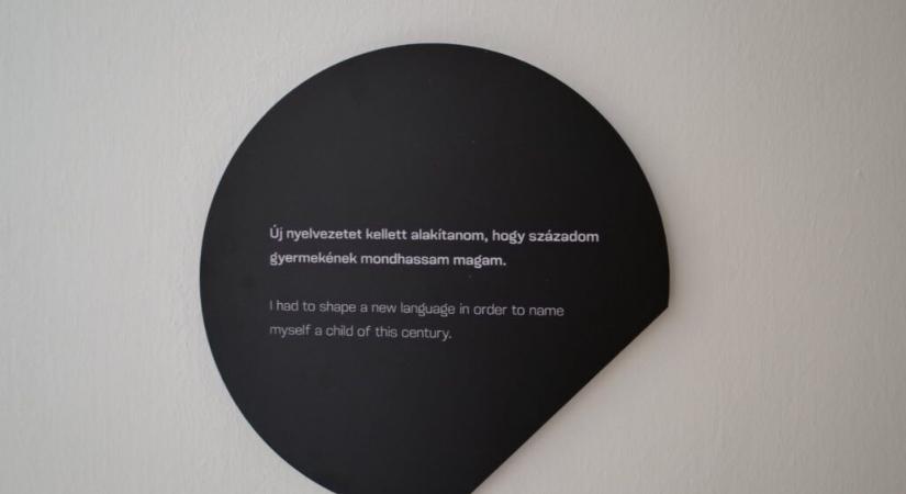 Látványmúzeum és önértés-inspiráció Vasarelyvel