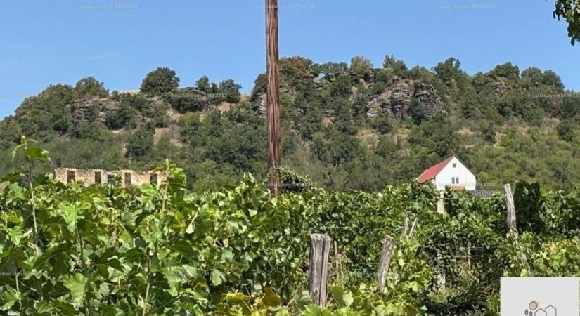 A szuperolcsó nyaralóval együtt eladó a szőlő és a kilátás a bazaltorgonákra
