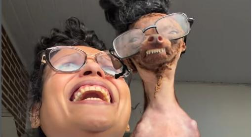 Saját hasonmásává változtatta kutyáját egy nő, milliók nevetnek a szürreális videón