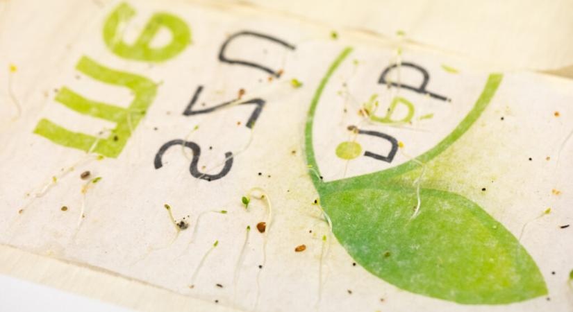 Mi kel ki? – magpapírok kísérlete