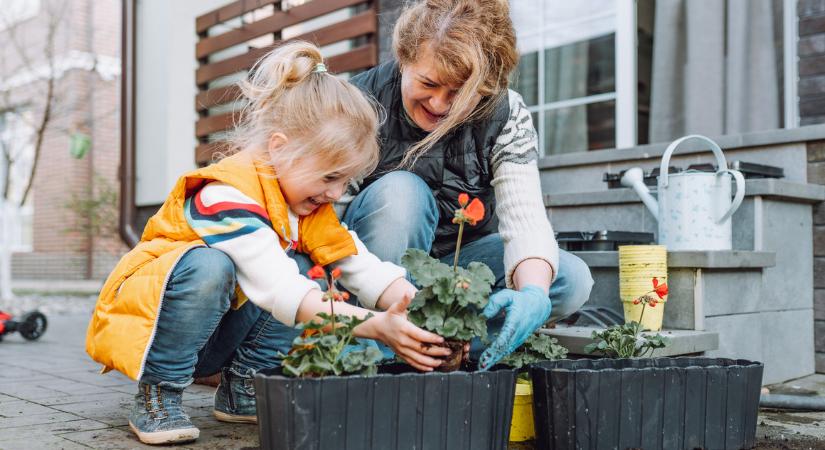 Újra felhasználható a tavalyi virágföld?