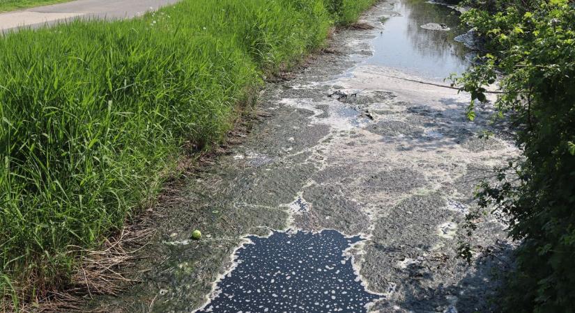 Évtizedes probléma tűnhet el: véget vethetnek a fojtogató bűznek – galériával, videóval