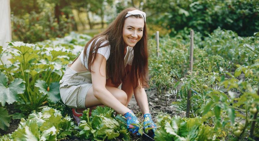 Mit mi mellé ültessünk a kertben? 5 biztos páros, amit régóta használnak