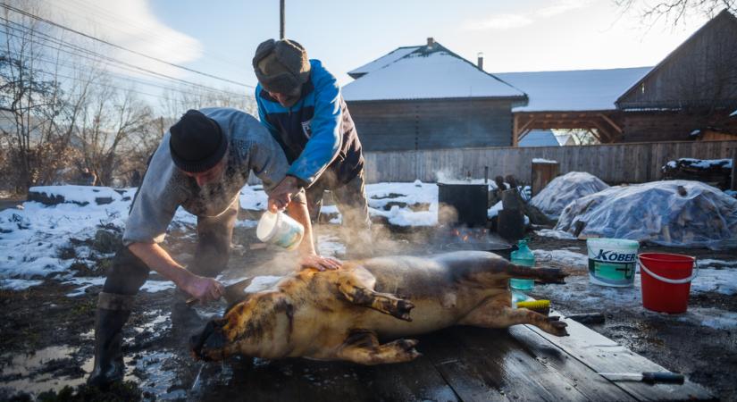 A Tisza-csürhe böllértanfolyamra jár