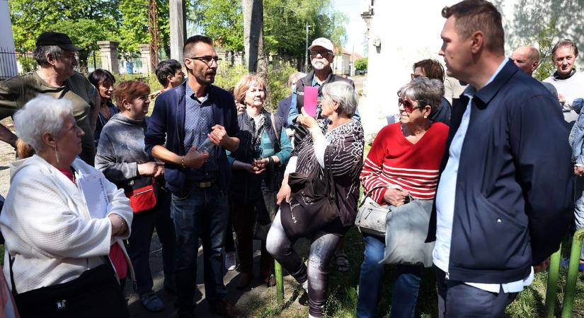 Hevesen tiltakoznak a halasiak a fakivágások ellen, egyelőre felfüggesztették a további kitermelést  fotók,videó