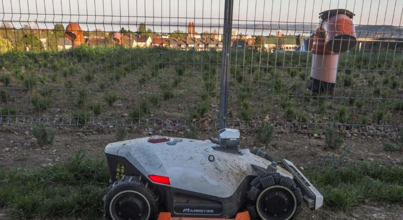 Fűnyírás a Balatonnál: mikor szabad és mikor tilos?