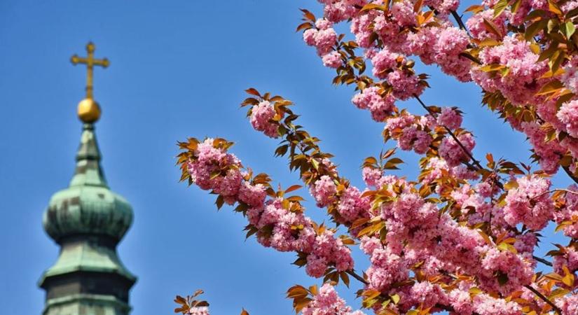 Szeles tavaszi hét: záporokkal és lehűléssel indul, napsütéssel zárul