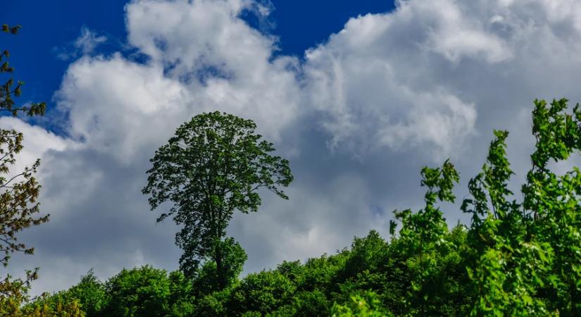 Lehűléssel indul a jövő hét, visszatérnek a hajnali fagyok is