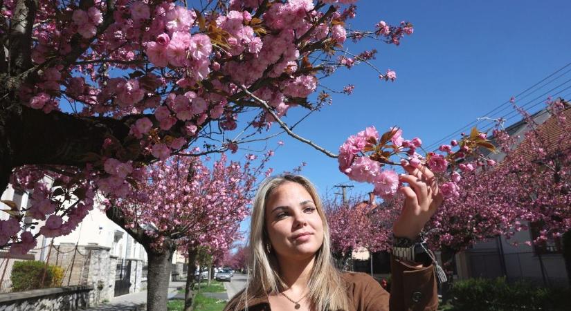 Viharos széllökésekkel indul a hét vagy ragyogó tavasz vár ránk Kaposváron?