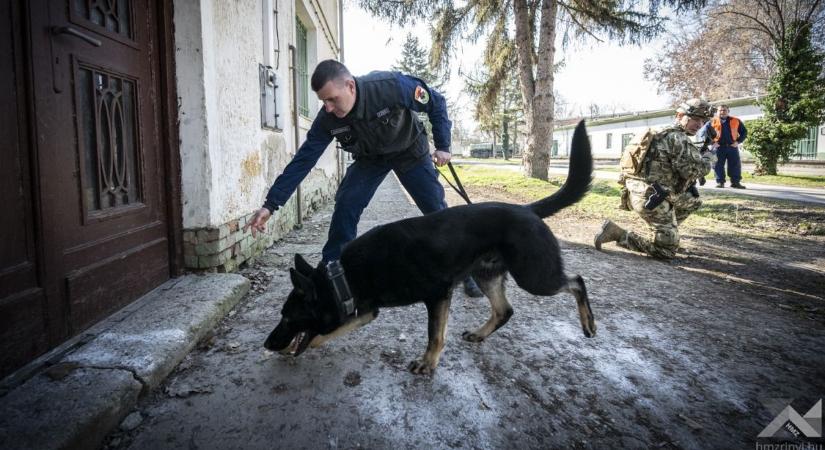 Nem mindennapi kiképzés Szentesen: keresőkutyák, rendőrök és katonák egy ritmusban