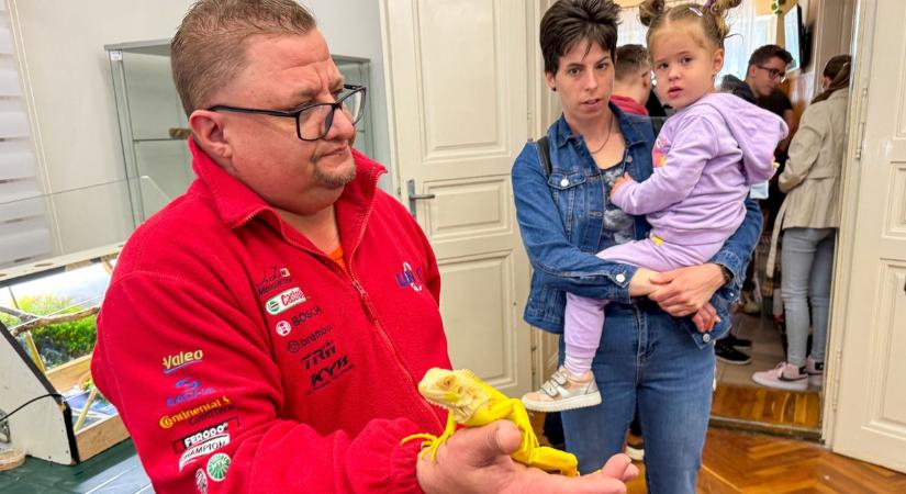 Meg mernéd simogatni a madárpókot? Különleges vendégek lepték el a zalai város művelődési házát (galéria, videó)