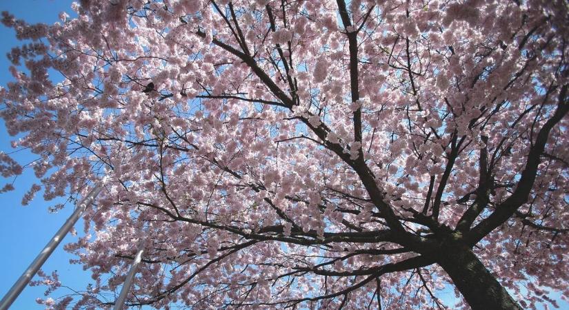 Kellemes időjárás ígérkezik hétfőn Hevesben, de meglepetéseket is tartogat a hétkezdet