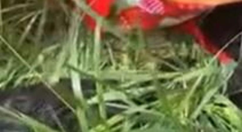 Csodával határos módon menekültek meg!