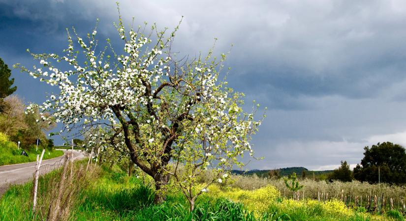 Itt a friss előrejelzés: berobban a hideg itthon, mutatjuk, mi várható még