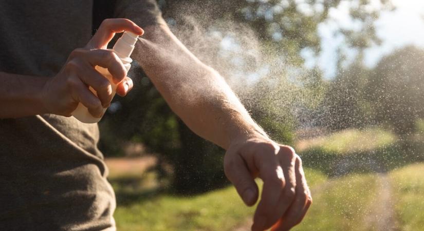 Elszabadulhatnak a szúnyogok az egyik legnagyobb magyar városban