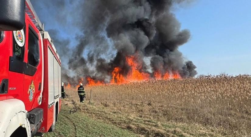 Három hektár borult lángba Szabolcsban, több egység vonult a helyszínre!