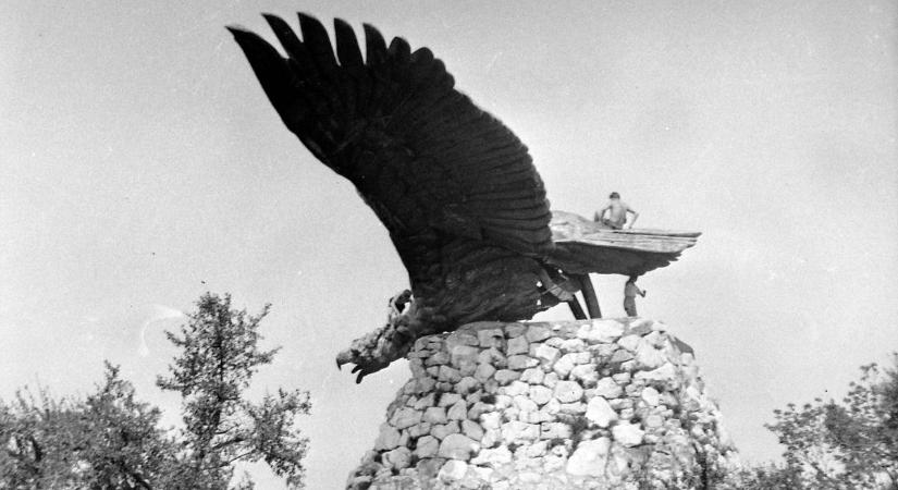 101 titok, amit biztosan nem tudtál Tatabánya jelképéről, a Turul-madárról