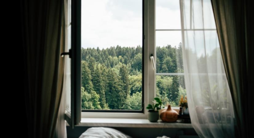 Soha ne hagyd ezt a dolgot az ablak közelében este: rovarinvázióra számíthatsz reggelre a szobádban, ha mégis így teszel
