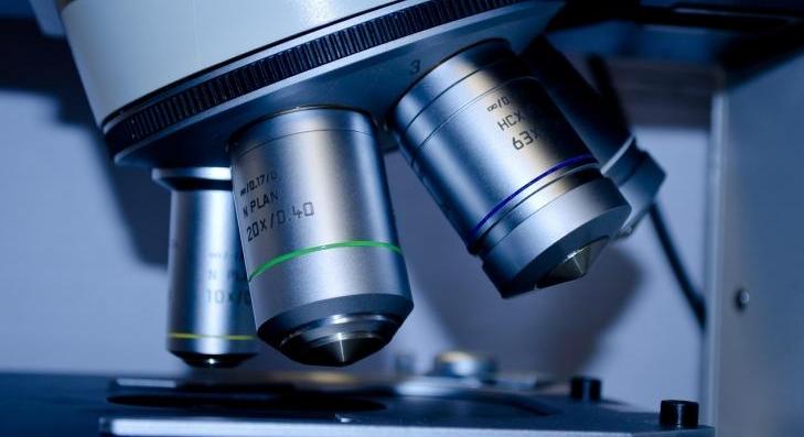 Harmonizálja szervezetét 