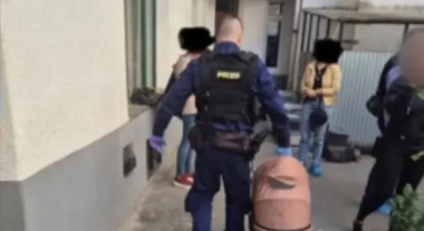 Borzasztó körülmények közül mentettek kutyákat az állatvédők, egy 11 hónapos kislányra bukkantak közben