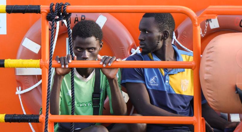 A játszótéren állt neki megsütni a frissen levadászott macskát egy migráns