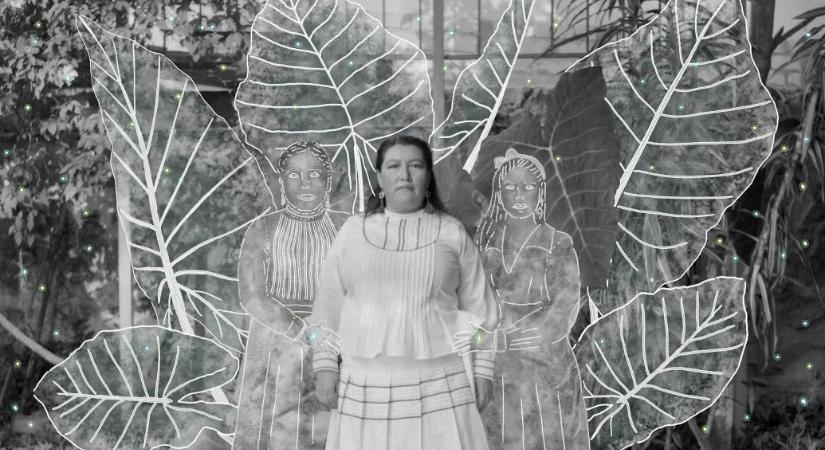 Vatikán performatív hívői, kolumbiai kokaszedők, éjjel settenkedő vadállatok