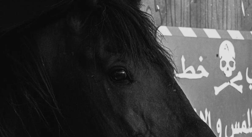 „Láttam a hullazsákokat” – Élőholtként tért vissza az asszony