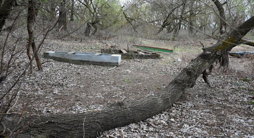 Szomorú látvány: szinte teljesen kiszáradt a ballai tengerszem