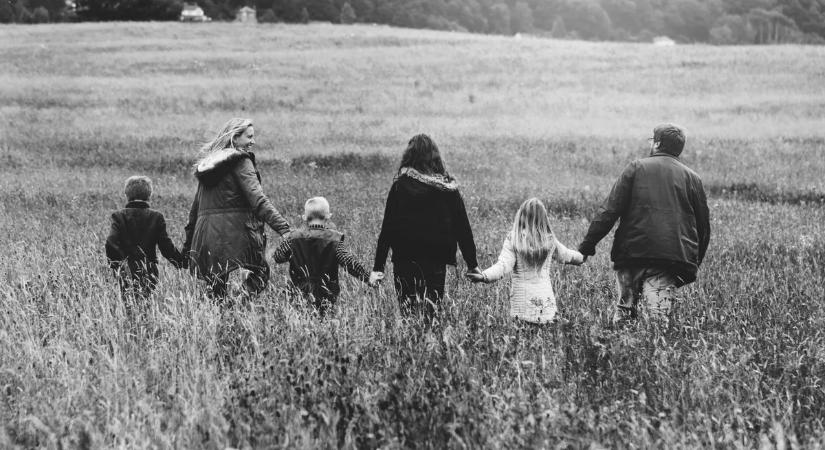 Karácsonyfát akart venni a család, de nyomtalanul eltűntek