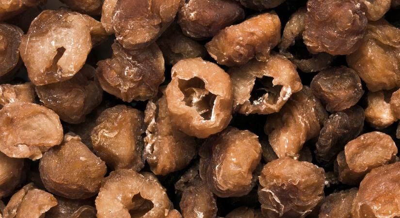 Halálos veszély a konyhádban? Ezek a „láthatatlan” penészek a májat támadják és akár rákot is okozhatnak