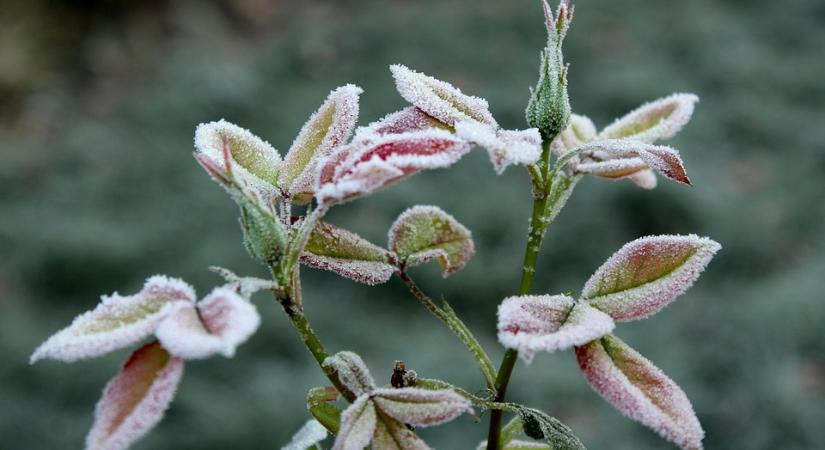 Visszatérnek a hajnali fagyok – így indul a hét