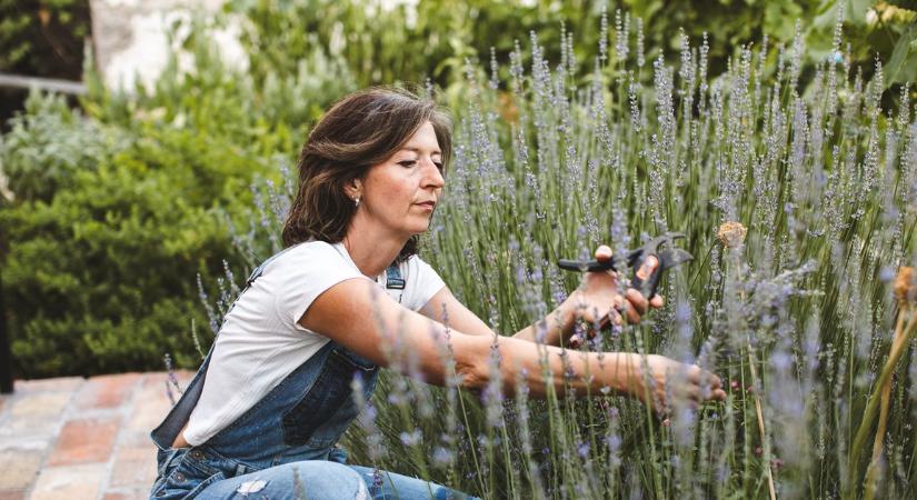 Felejtsd el a szódabikarbónát! Szakértők szerint ez az egyetlen mód, amivel eltávolíthatod a növényvédőszereket a gyümölcsökről, zöldségekről
