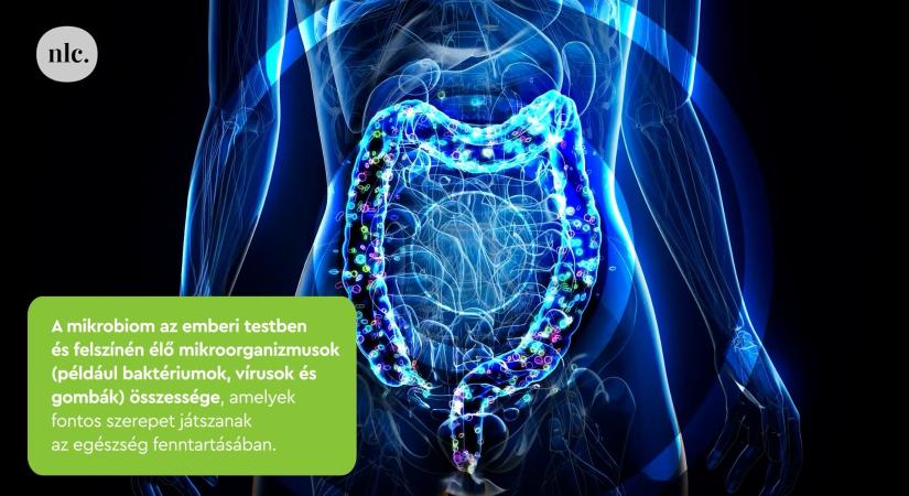 Húgyúti fertőzések? Így csökkentheted a visszatérést!
