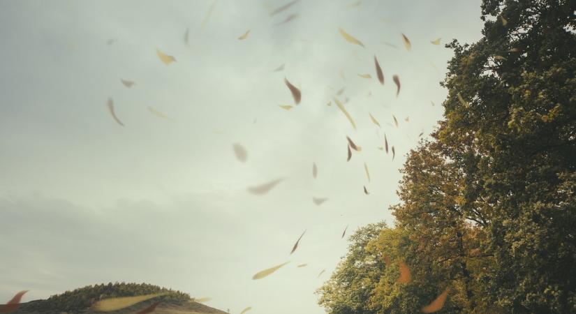 Utálod a szelet? Rossz hírünk van, egész héten nem fog elállni! - Mutatjuk a heti időjárás-előrejelzést