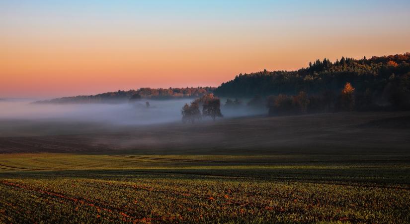 Hétfőn még szél, szerdán már fagy: 2 kritikus nap vár a gazdákra