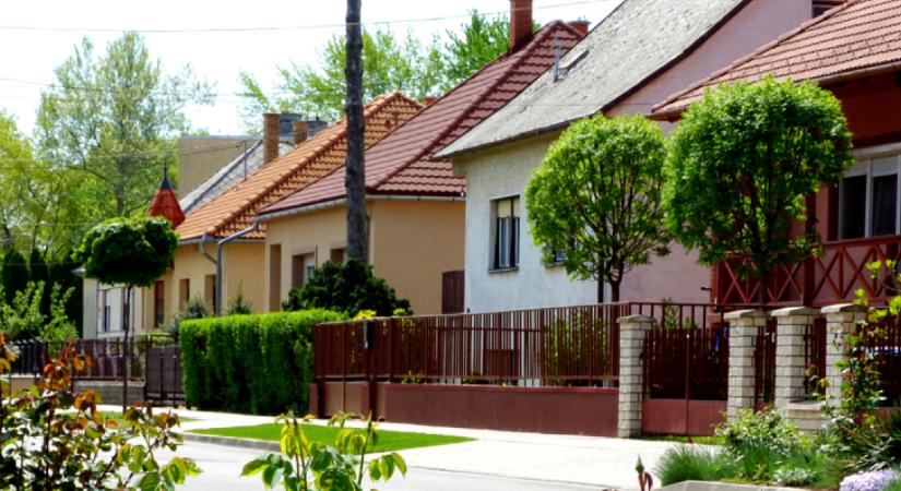 Figyelmeztet a kertész: ilyen fát sose ültess a házad mellé