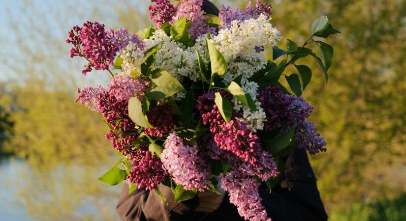 Ma, április 20.: Tivadar névnapja van– Milyen a személyisége?