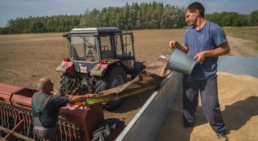 Esőre vár a határ, már vetik a napraforgót, kukoricát