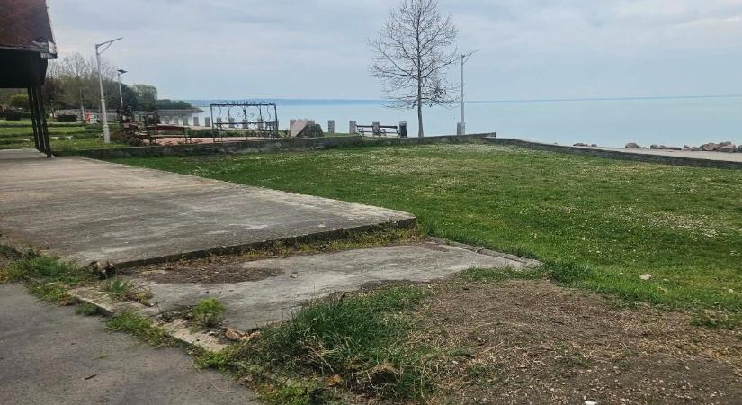 Egzotikus kis placc létesül Kenesén