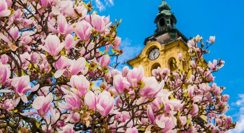 Borongós kezdés, meglepő folytatás – ilyen lesz az időjárás