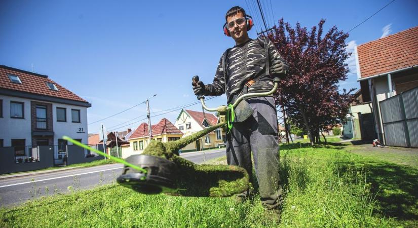 Ezért ne indítsd be bármikor a fűnyírót – komoly bírság lehet a vége