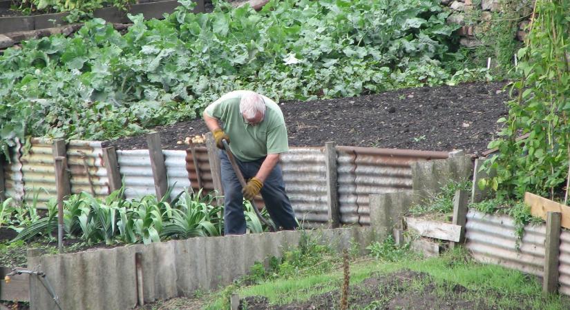 Ez az a hiba, ami miatt lassan, de biztosan pusztul a kerted