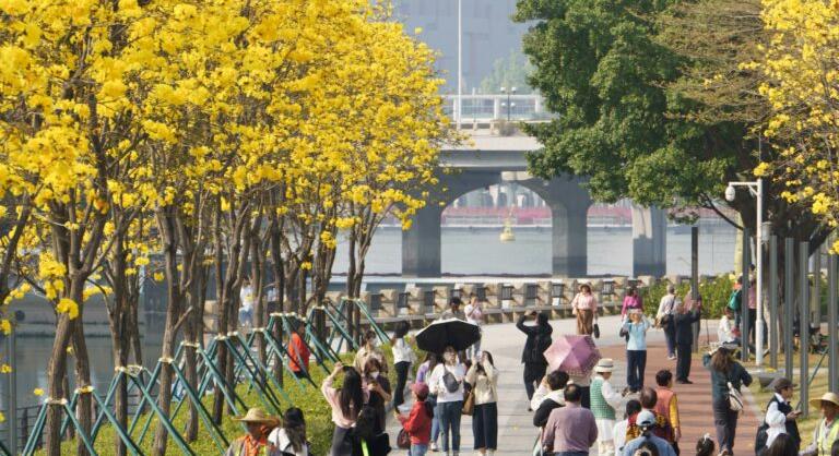 Ezt se hittük volna pár éve: több amerikai birtokol bitcoint, mint aranyat