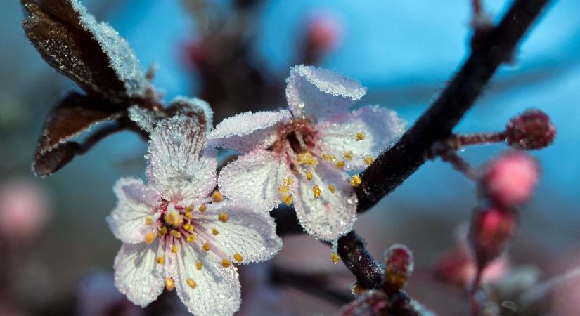 Szerdán és csütörtökön több helyen is lehet fagy, hiába lesz napközben akár 20 fok