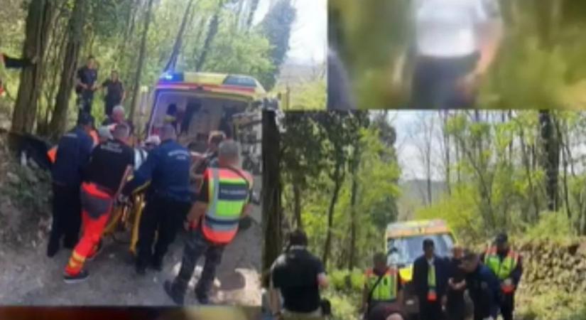 Drámai keresés az erdőben – így találtak rá az eltűnt idős asszonyra Tapolca közelében