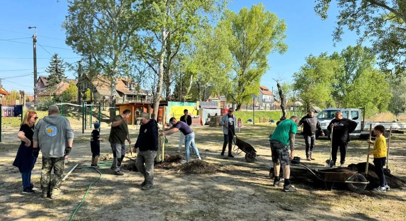 Ötvenöt fát ültettek a Palatinus-tónál