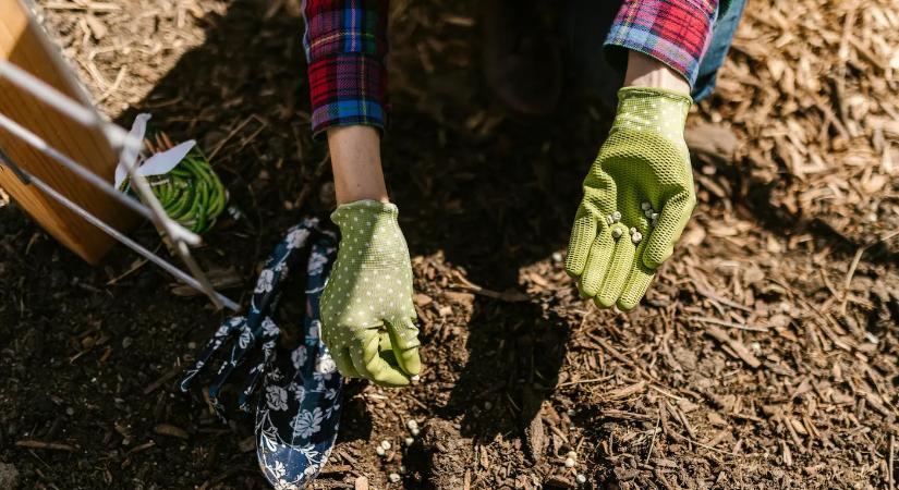 Áprilisi vetés: ezt az 5 hibát a magyarok 90%-a elköveti, ne tartozz közéjük!