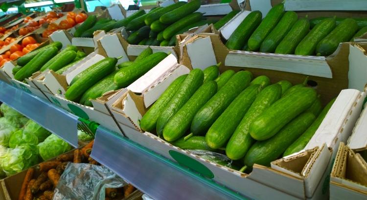 Környezetbarát megoldás válthatja le az uborkafóliát